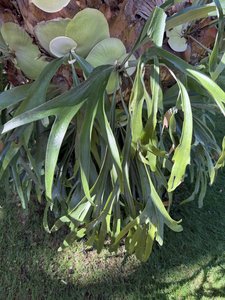 photo by Tracy Tetznet