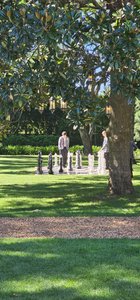 photo by Maree Shetwood